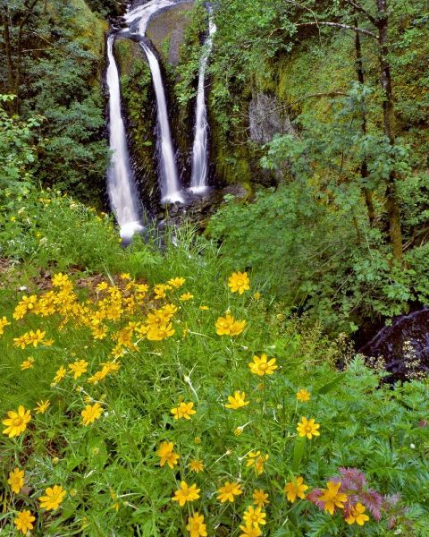 Oregon, Columbia River Gorge NSA Triple Falls